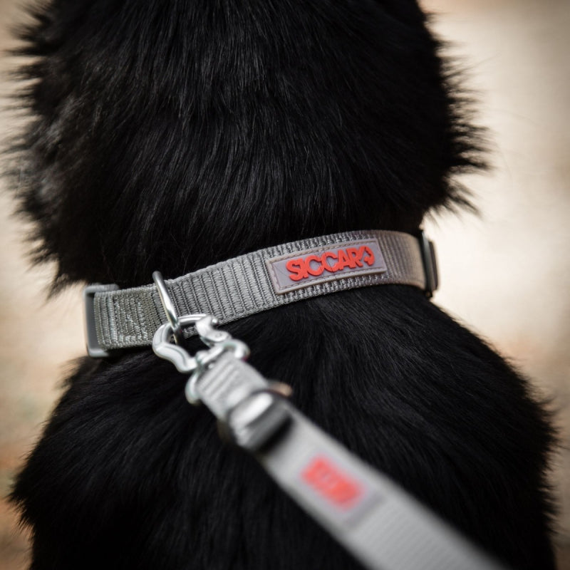 New Product Alert - Sealines by Siccaro