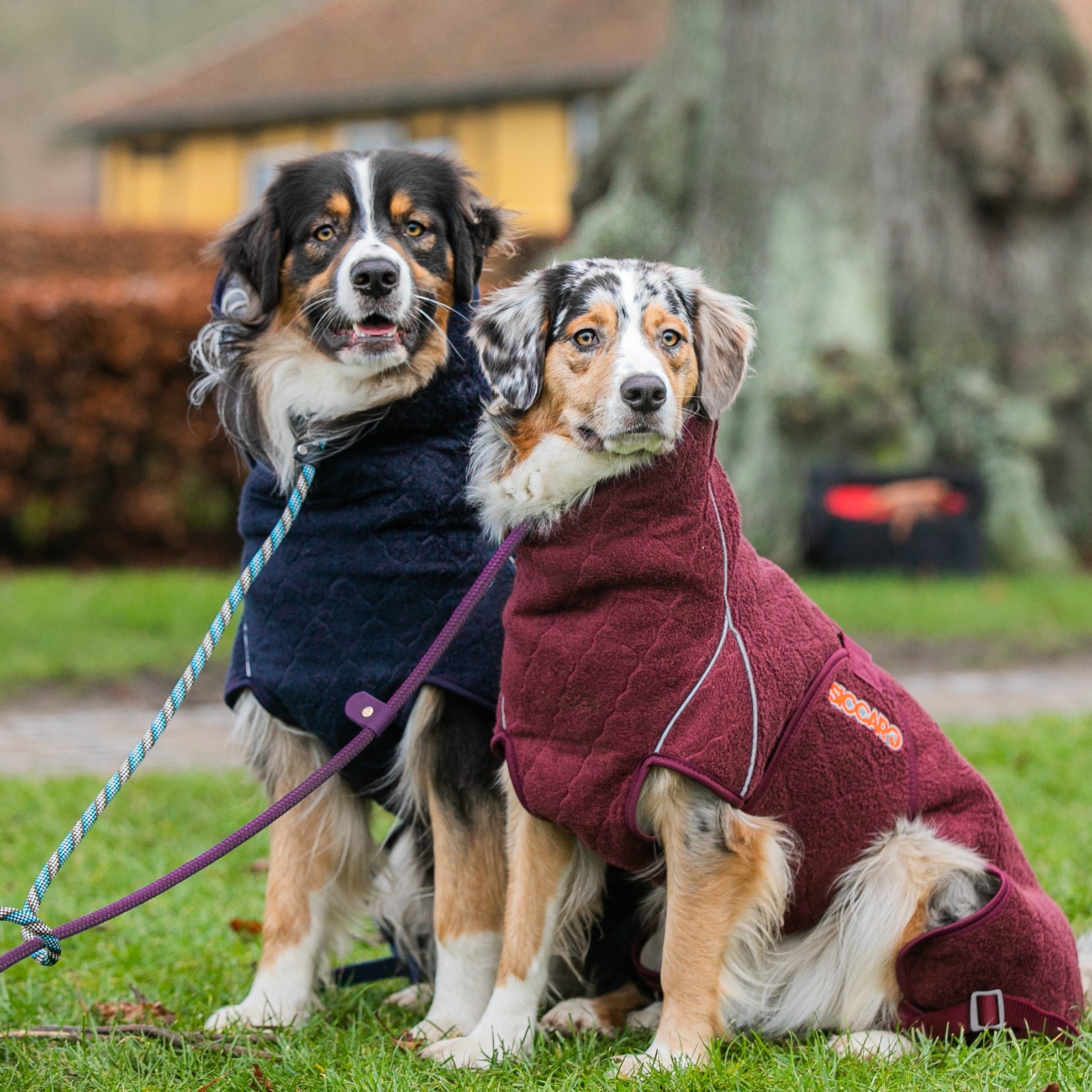 Siccaro SOLUTION  | Dog Drying Robe