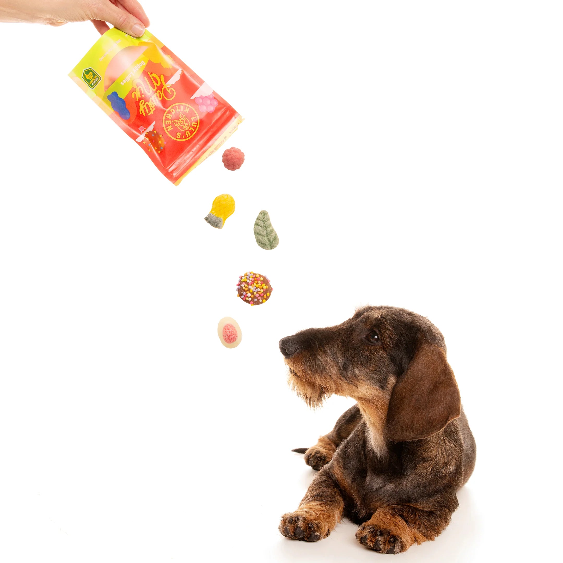 Lulu's Kitchen Pawty Mix  |  Dog Treats