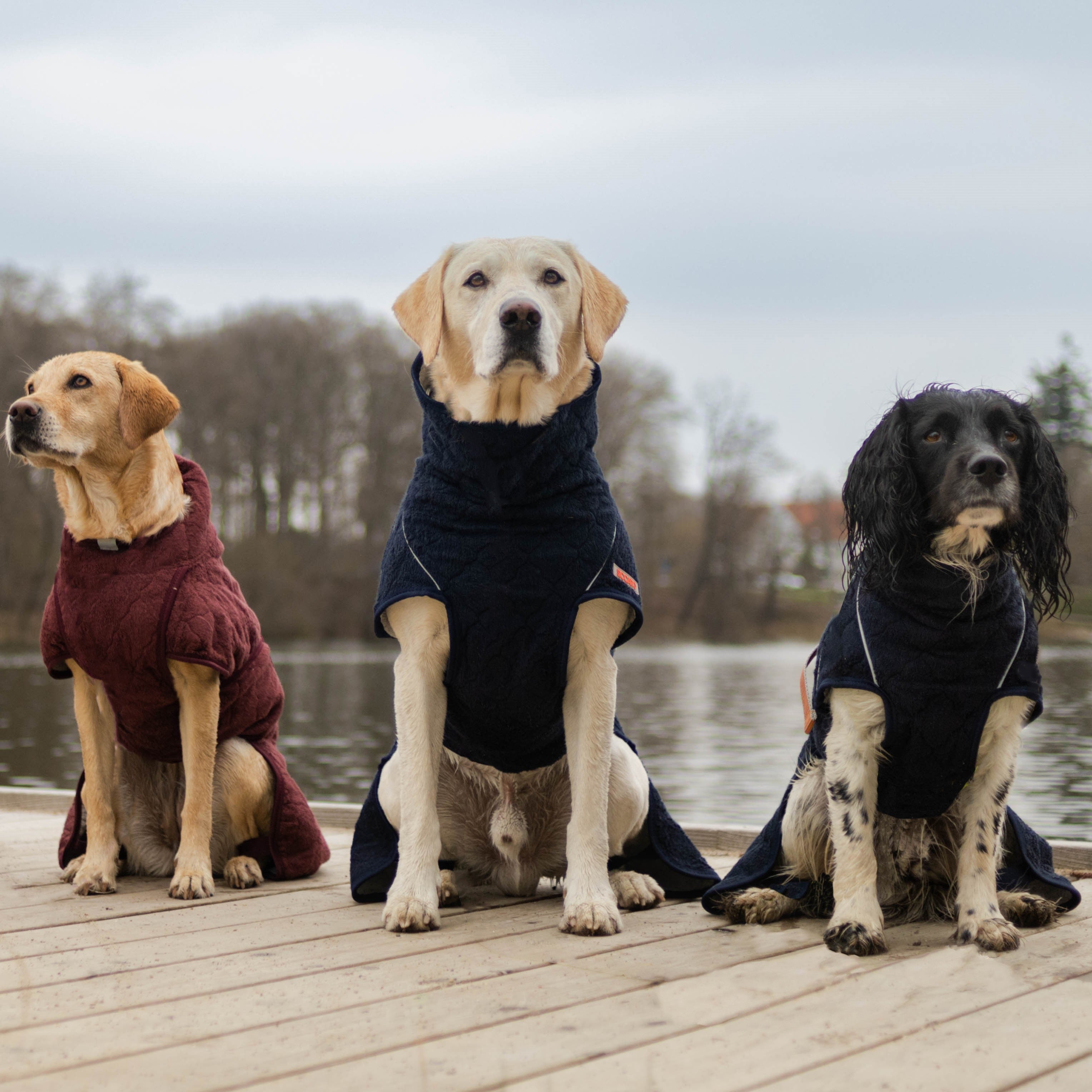 Siccaro SUPREME 2.0  |  Dog Drying Robe