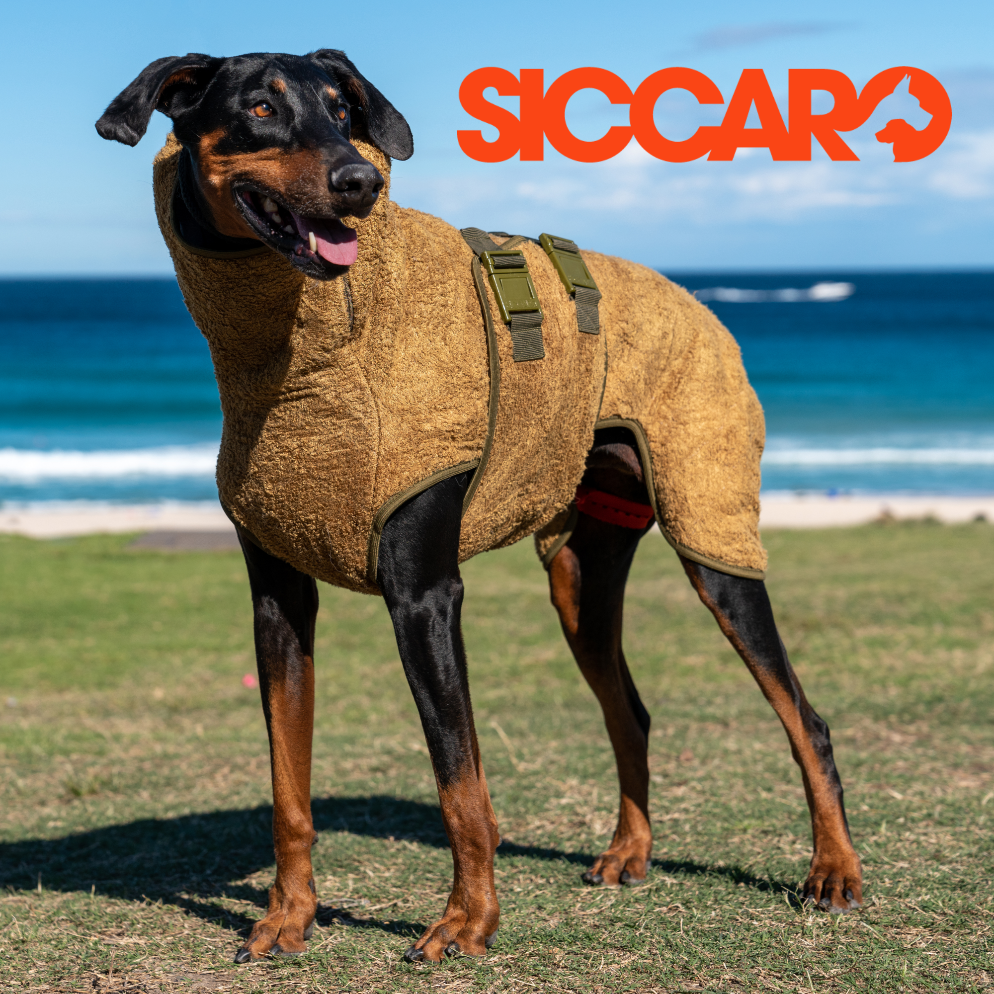 Siccaro Drying Robes and Accessories