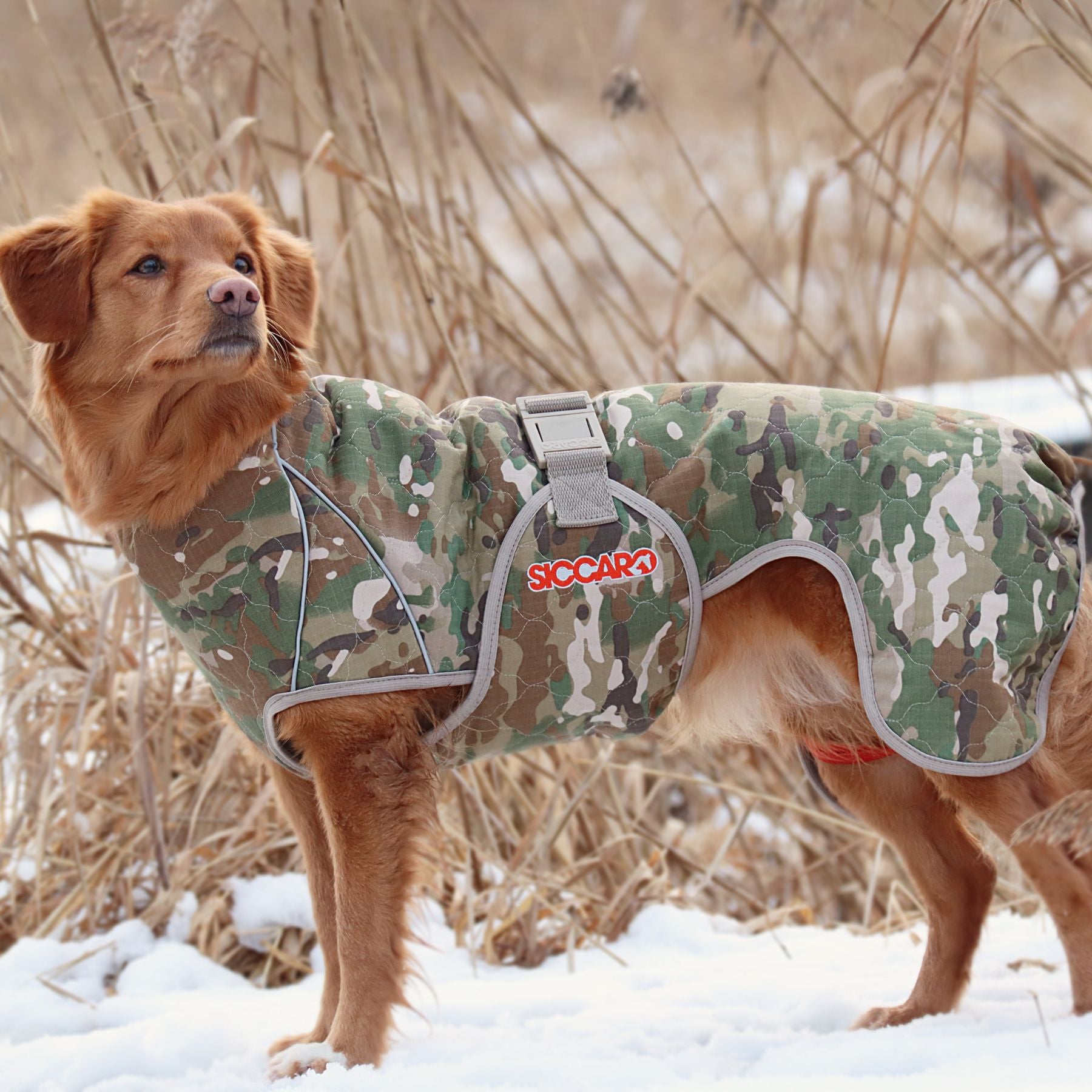 Siccaro SPIRIT 2.0  |  Dog Drying Robe