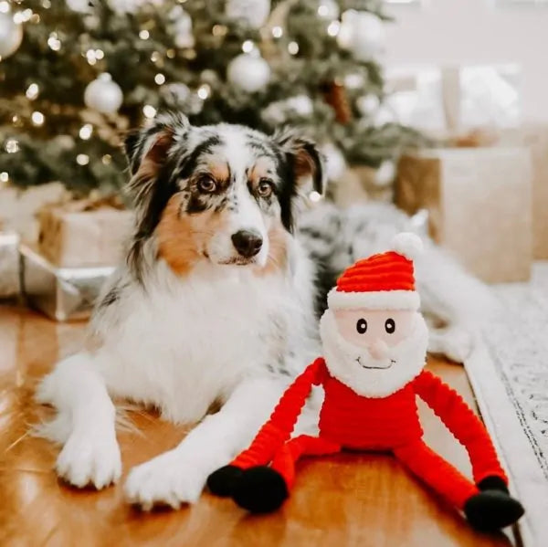 ZippyPaws Holiday Crinkle  Santa  |  Crinkle Squeaky Plush Toy