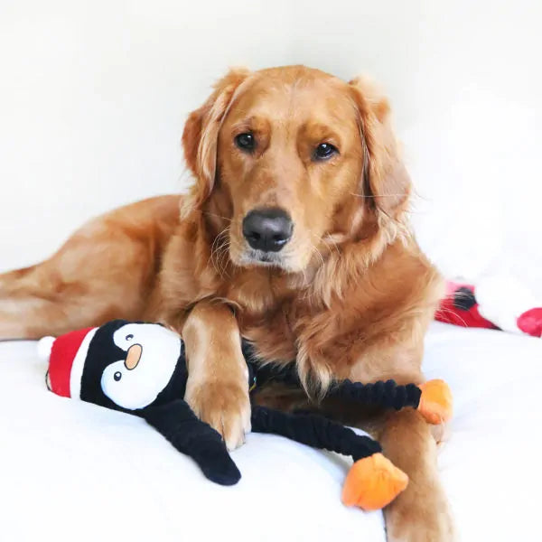 ZippyPaws Holiday Crinkle  Penguin  |  Crinkle Squeaky Plush Toy