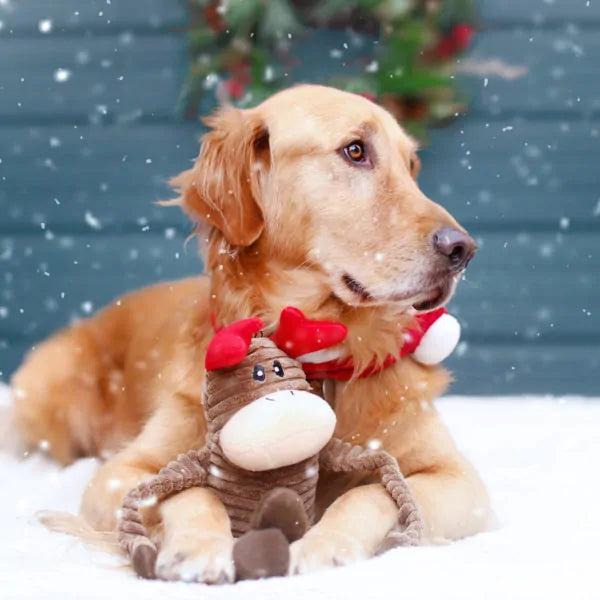 ZippyPaws Holiday Crinkle  Reindeer  |  Crinkle Squeaky Plush Toy