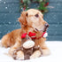 ZippyPaws Holiday Crinkle  Reindeer  |  Crinkle Squeaky Plush Toy