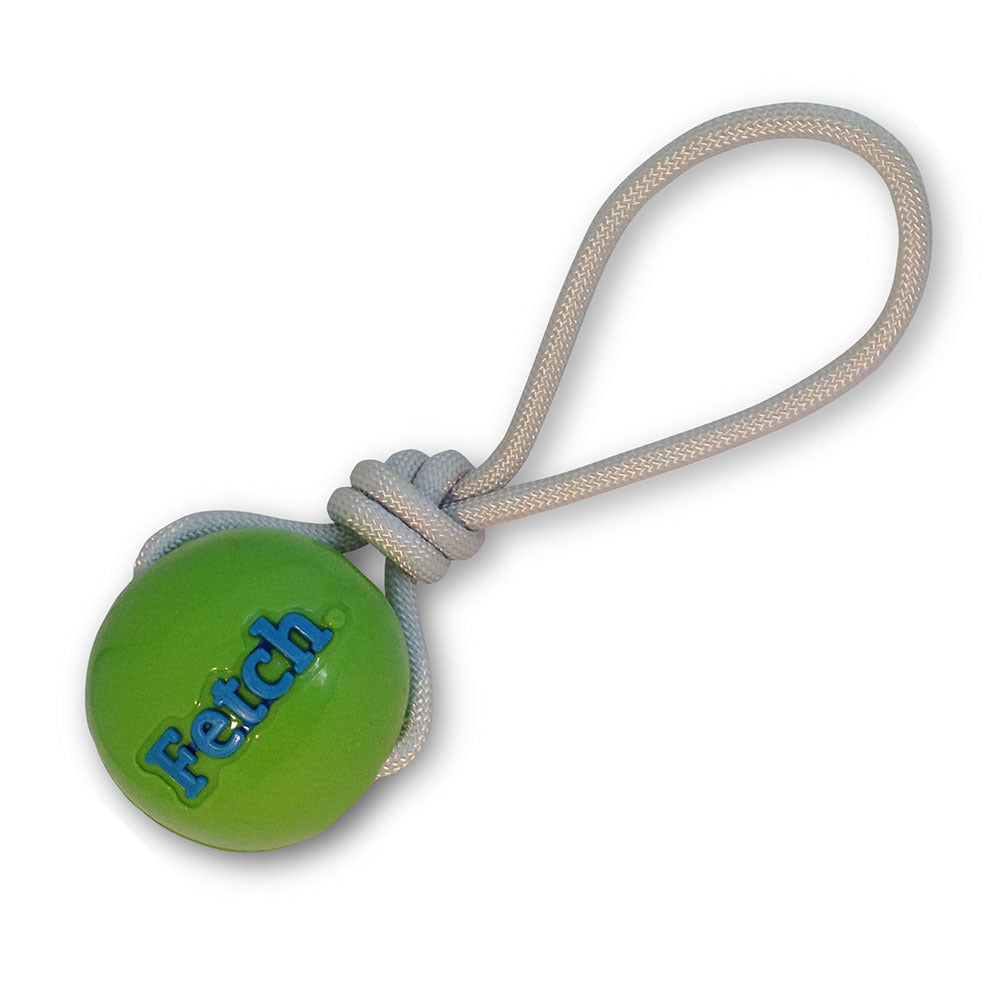 Planet Dog Orbee-Tuff Fetch  |  TPE Ball with Rope