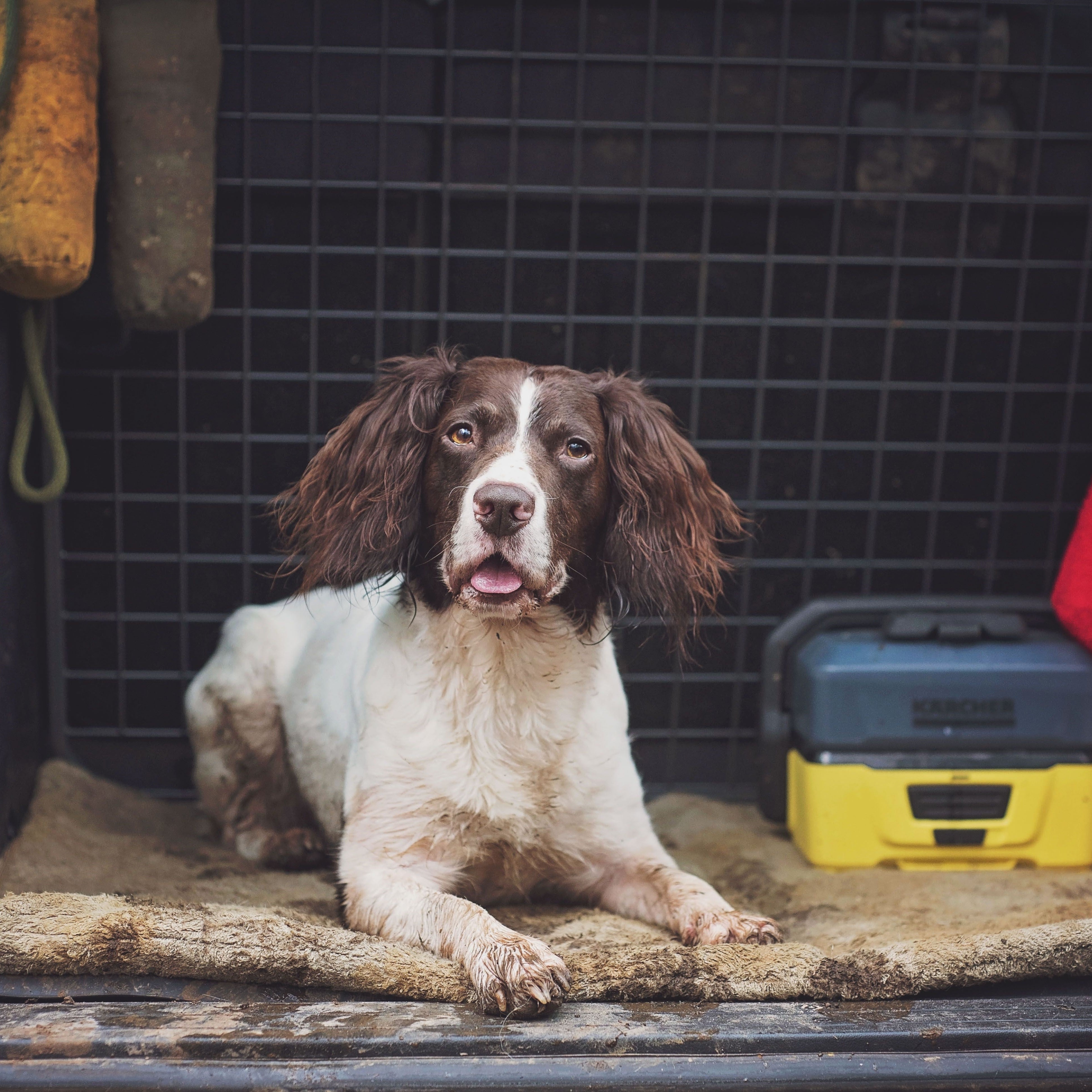 Siccaro FlexDog  |  Absorbent Drying Mat