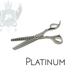 ONYX Platinum Pro Series