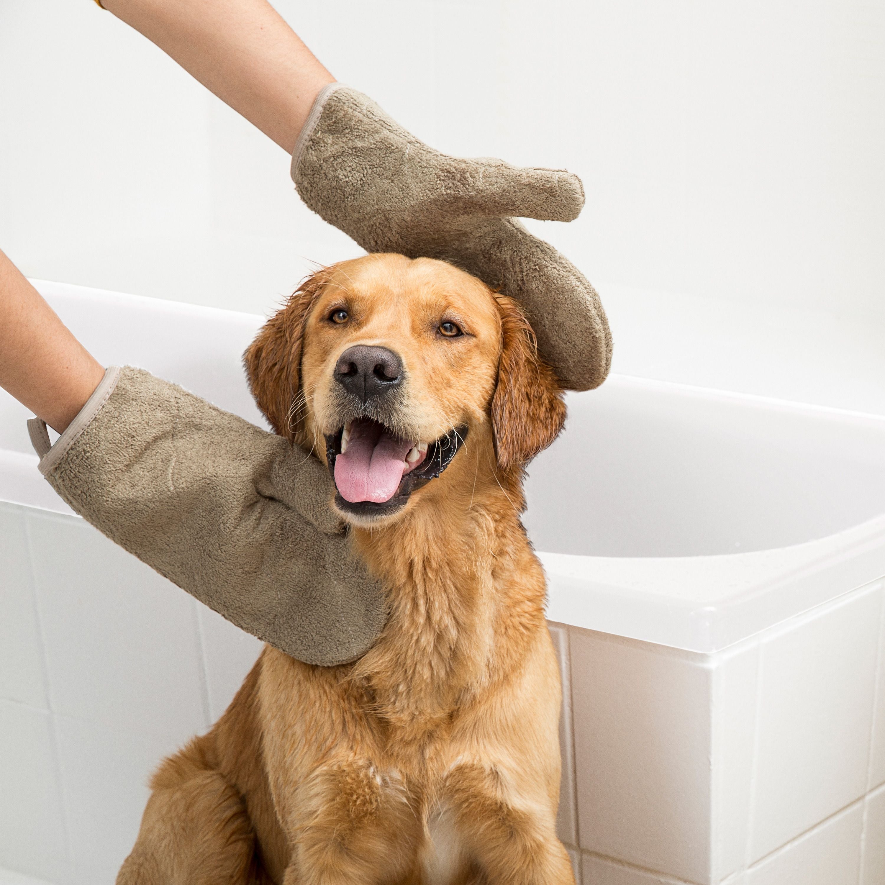 Siccaro DryGlove  |  Pet Drying Glove