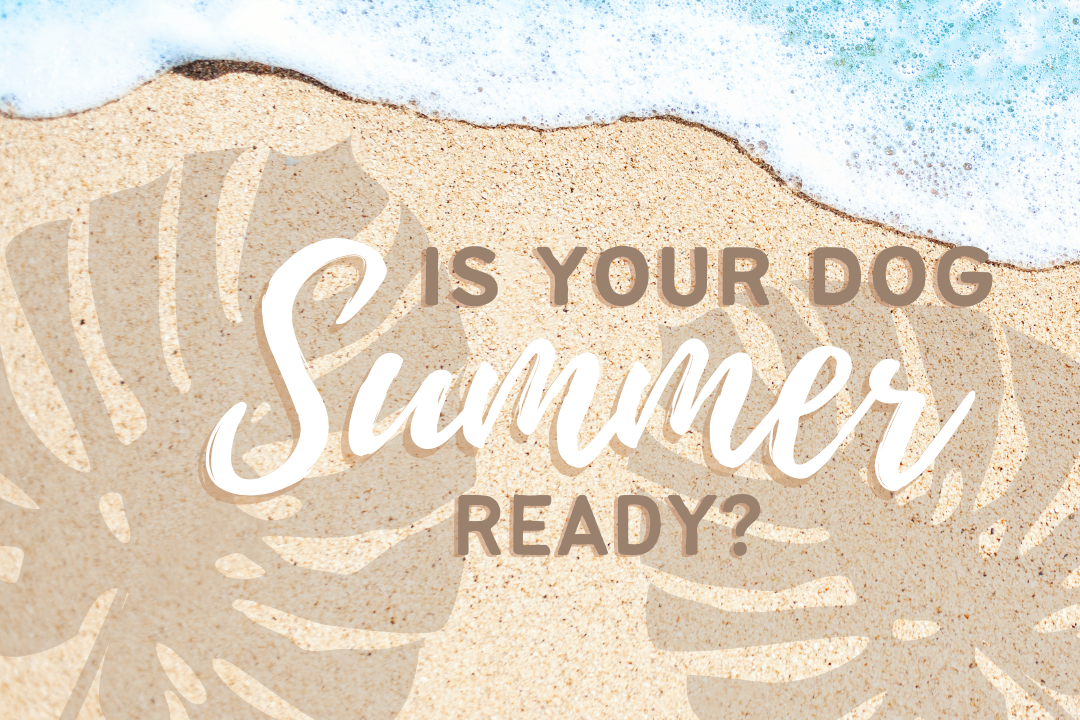 Get ready for Summer with these grooming tips!