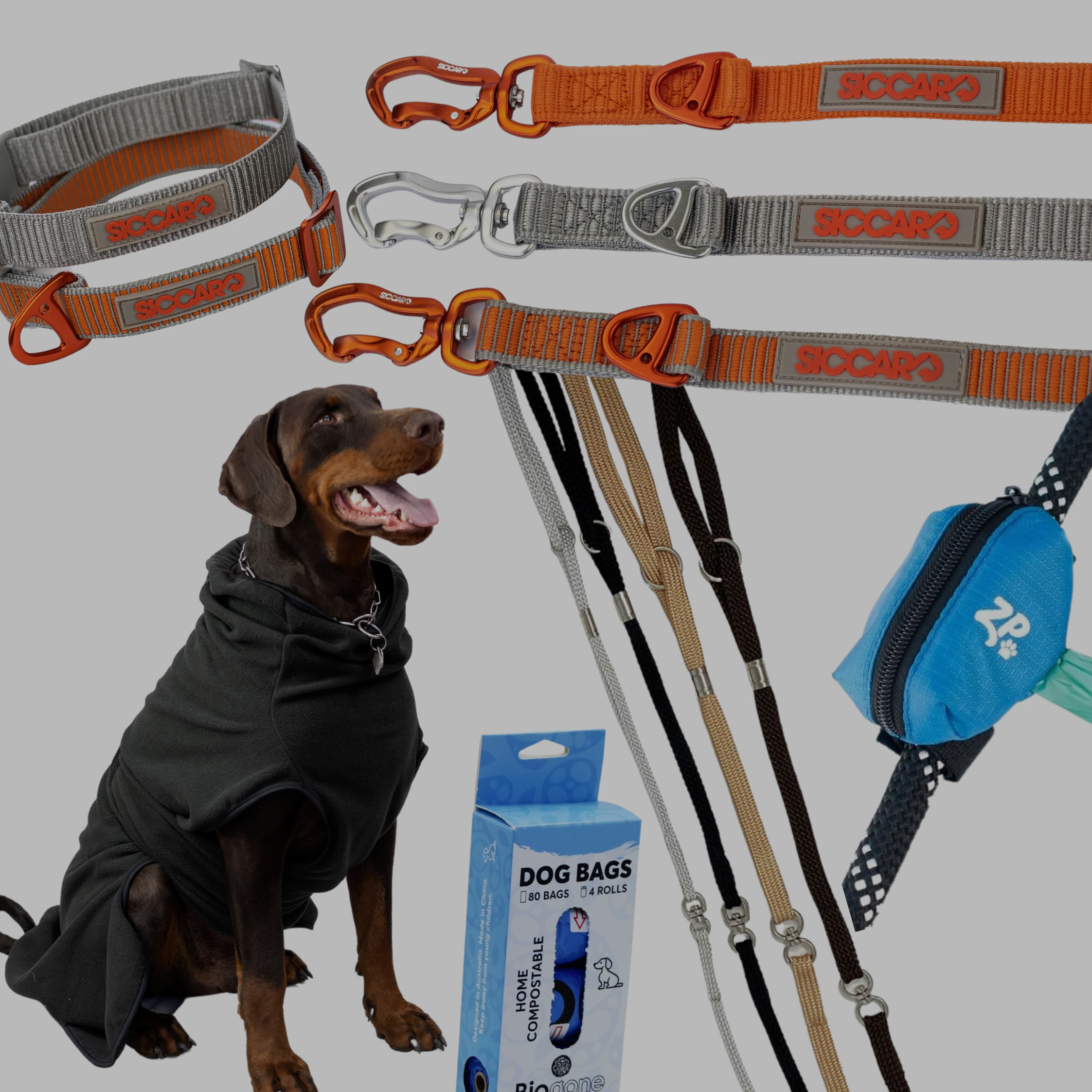 Gear - A collection of Gear such as leads and collars for your pets.