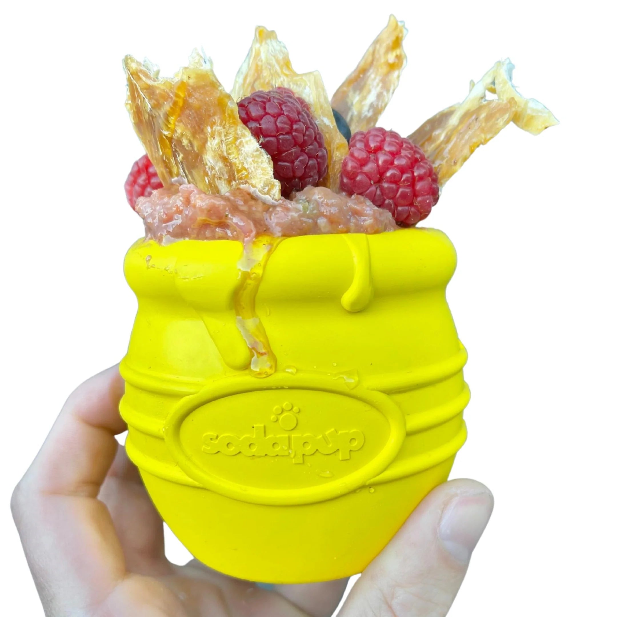 SodaPup Honey Pot  |  Treat Dispensing Dog Toy