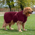 Siccaro SMART  |  Dog Drying Robe