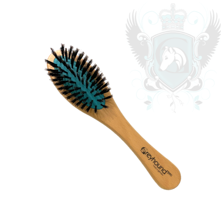 GREYHOUND 100 Natural Boar Bristle Brushes
