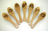 ANIMAL IMPRESSIONS Pin Brush