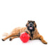 Aussie Dog Enduro Ball  |  Durable Dog Ball