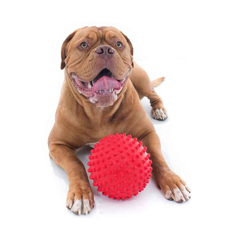 Aussie Dog Mitch Ball  Hard Red  |  Durable Dog Ball
