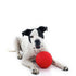 Aussie Dog Mitch Ball  Hard Red  |  Durable Dog Ball