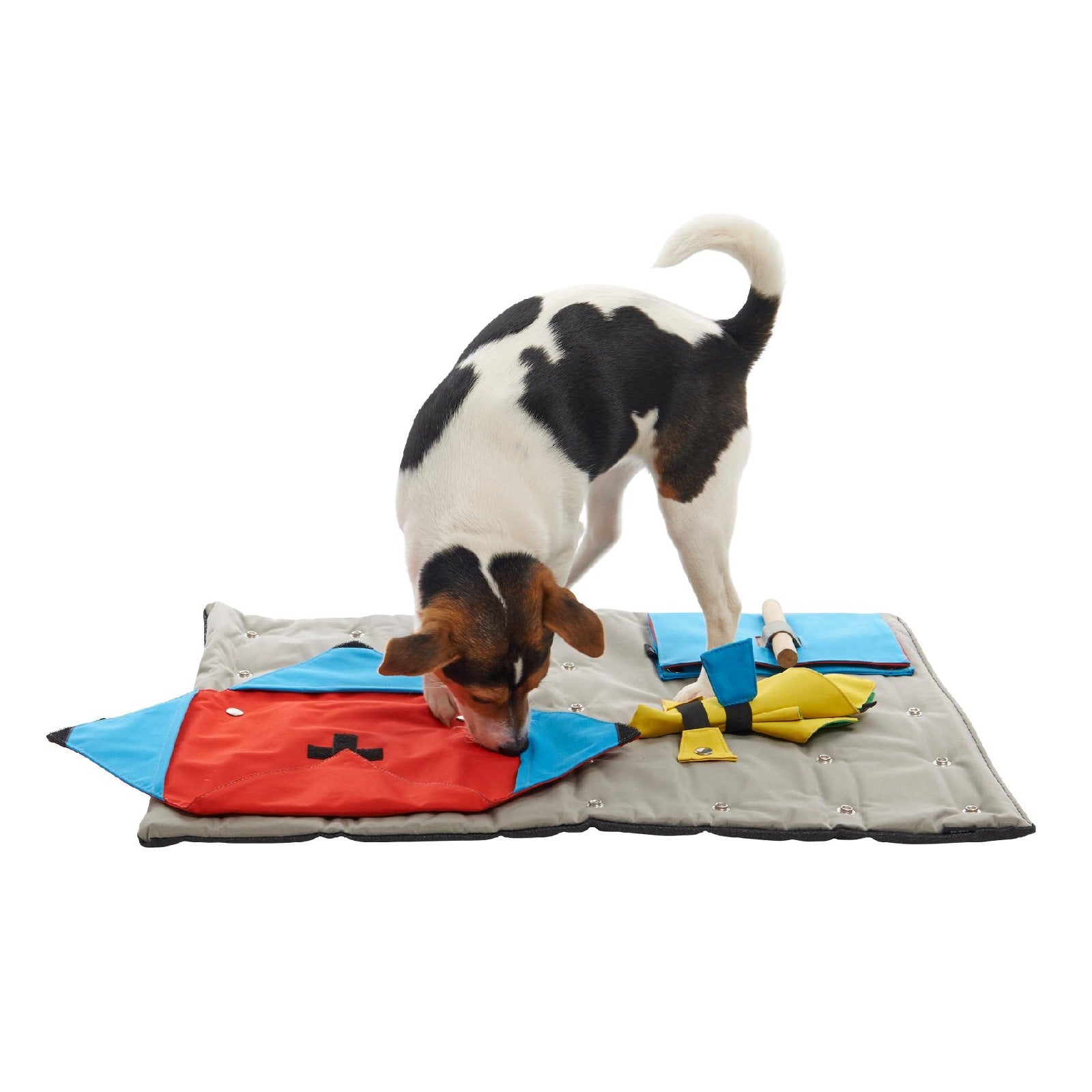 Buster Canvas Activity Snuffle Mat Starter Kit (3 Activities Included)  |  Interactive Dog Toy
