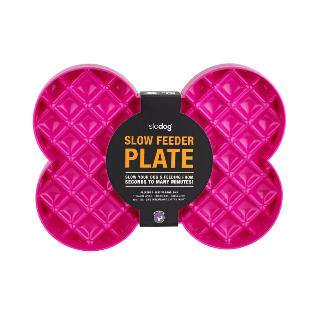 SloDog Slow Food Plate  |  Enrichment Feeding Plate