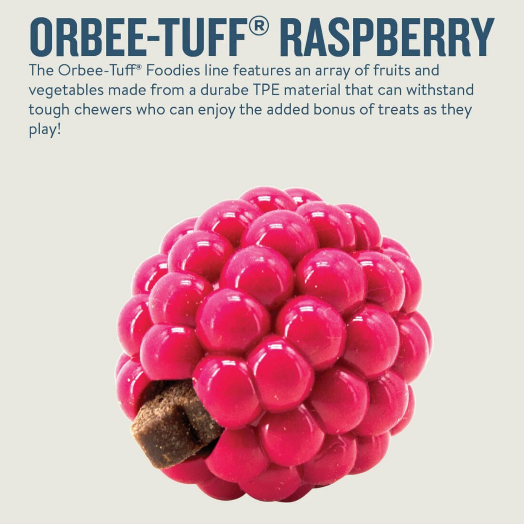 Planet Dog Orbee-Tuff  Raspberry  |  Interactive Treat Dispensing Toy