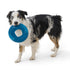 West Paw Seaflex  Sailz  |  Recycled Plastic Flyer Dog Toy