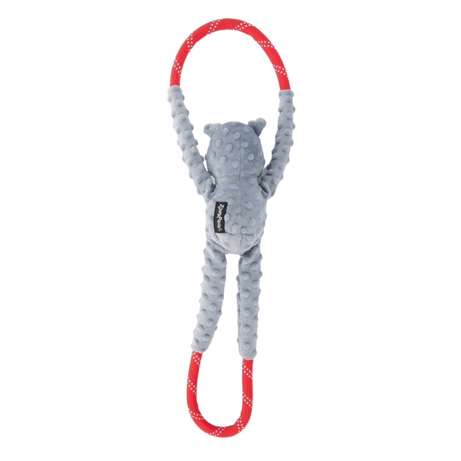 ZippyPaws RopeTugz  Koala  |  Rope Tug Toy