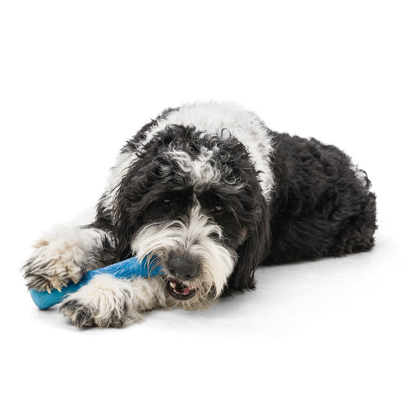 West Paw Seaflex  Drifty  |  Recycled Plastic Fetch Dog Toy