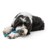 West Paw Seaflex  Drifty  |  Recycled Plastic Fetch Dog Toy