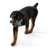 West Paw Seaflex  Drifty  |  Recycled Plastic Fetch Dog Toy