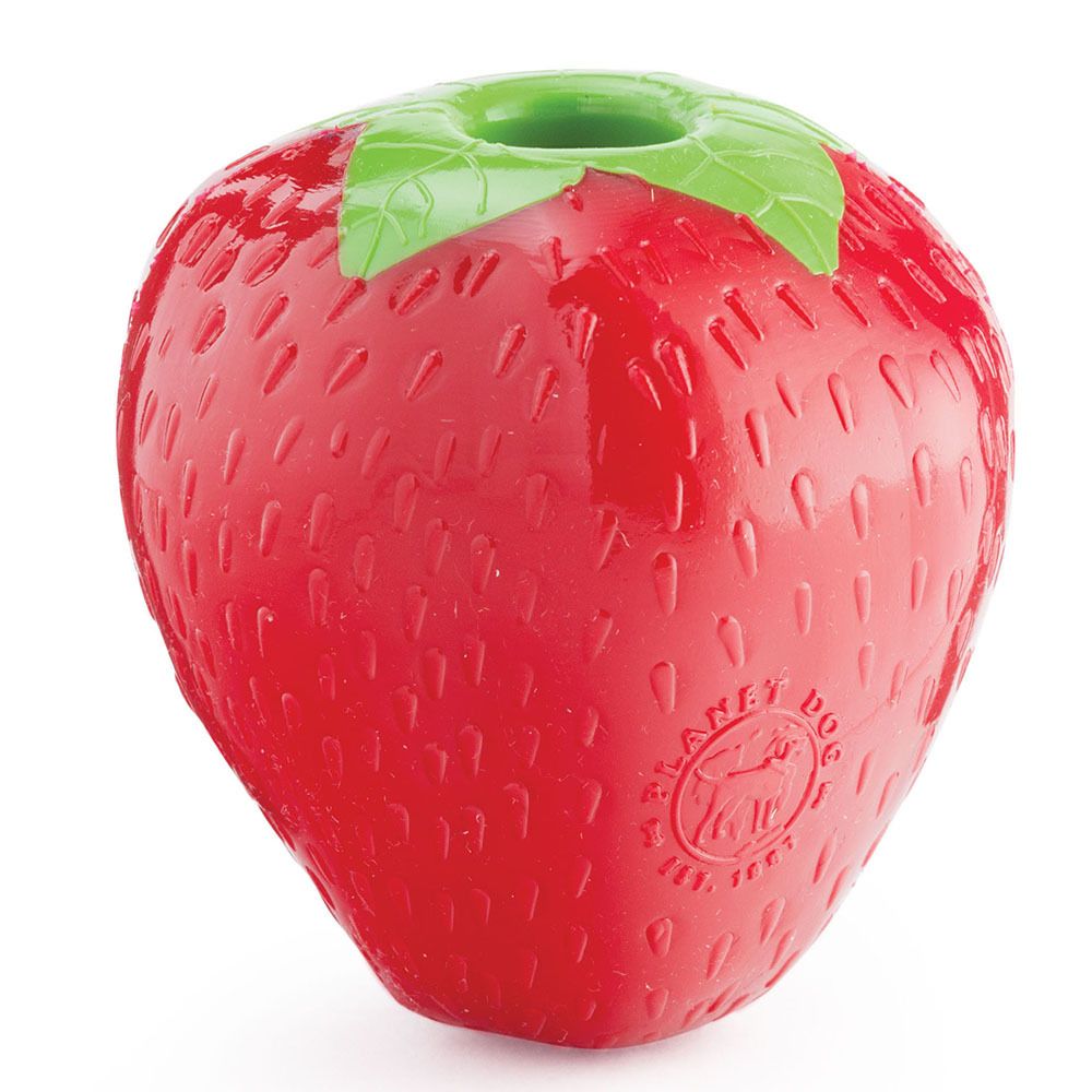 Planet Dog Orbee-Tuff Red Strawberry  |  Interactive Treat Dispensing Toy