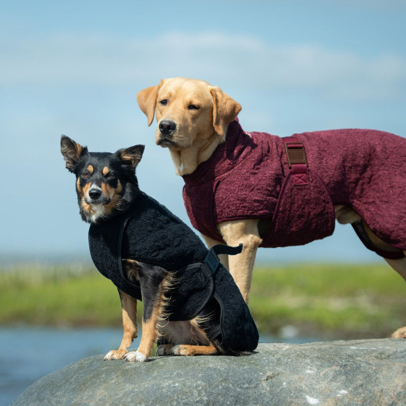 Siccaro SMART  |  Dog Drying Robe
